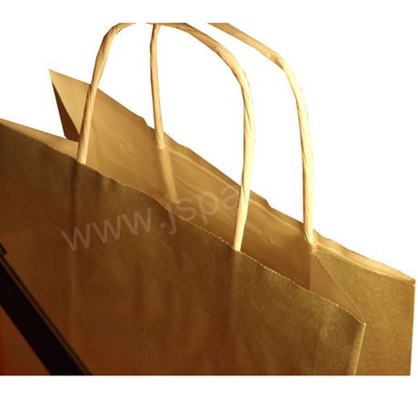 Twisted and flat handle paper bag
